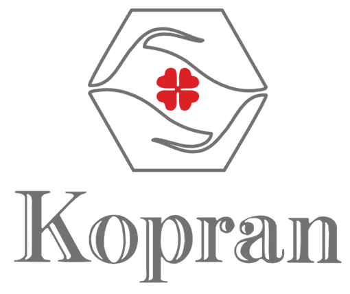 KOPRAN LIMITED